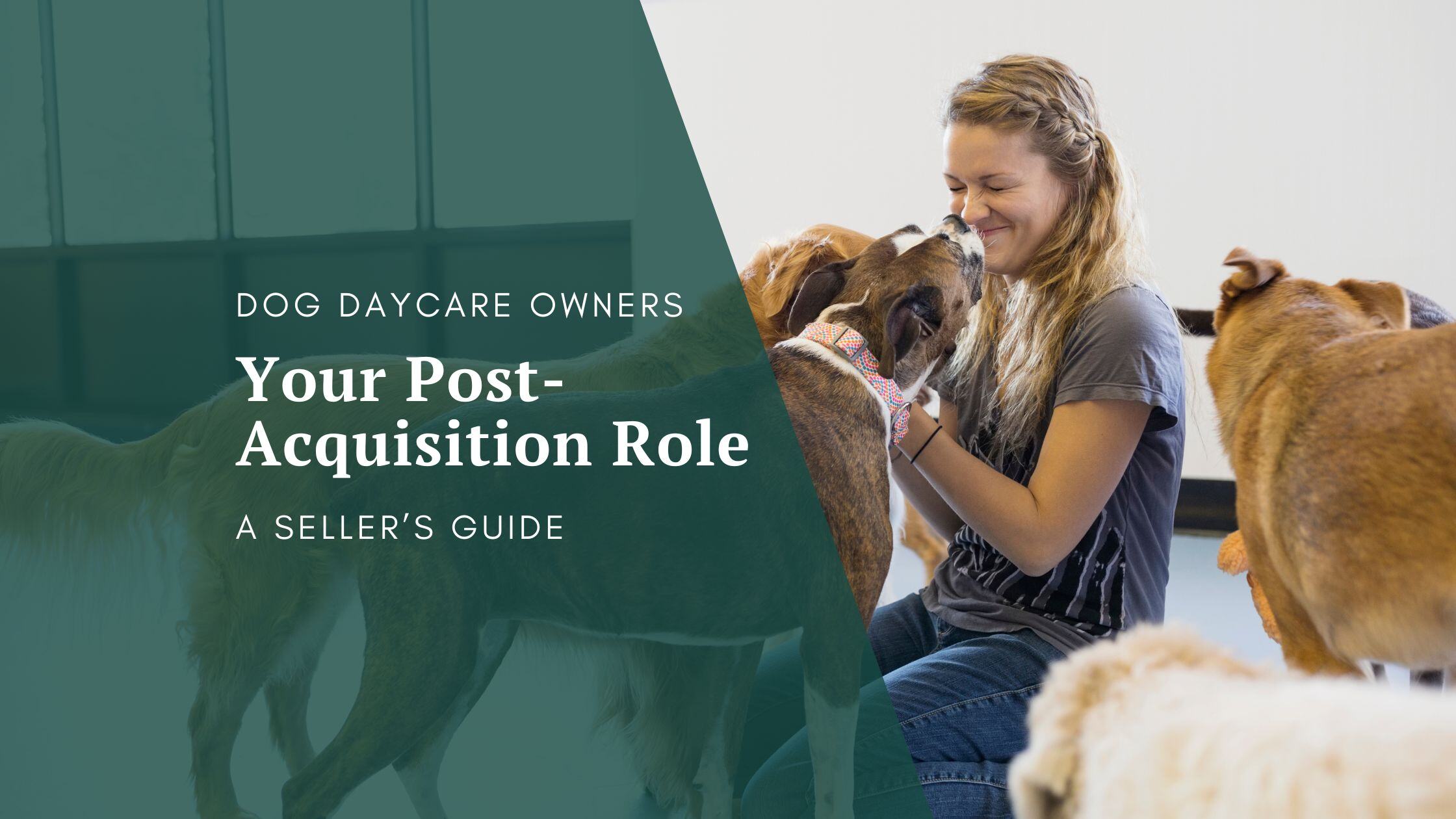 Dog Daycare Owners Your Guide to PostAcquisition Success